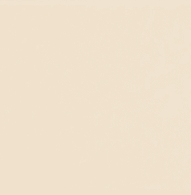 Sildebensfliser Vaegfliser Country Ivory 65x20 Hl Keramik