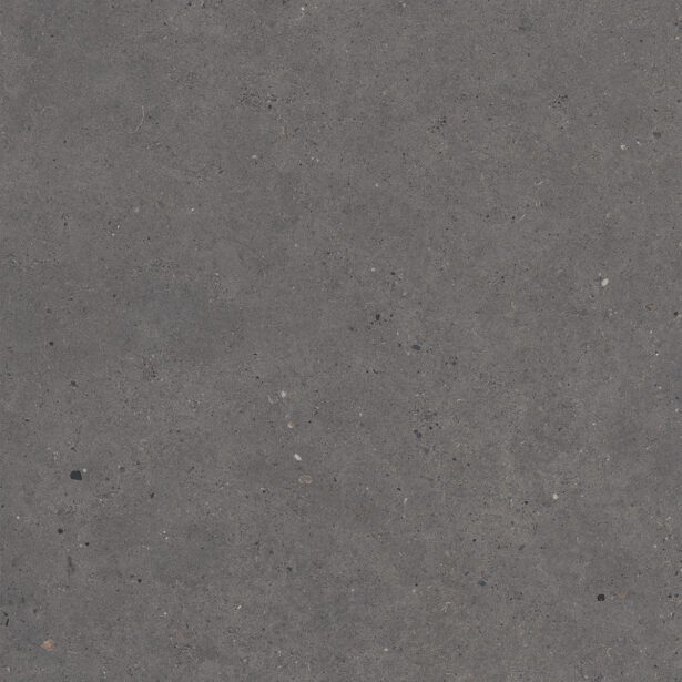 Silver Grain Dark - Beton Look Fliser – Dark