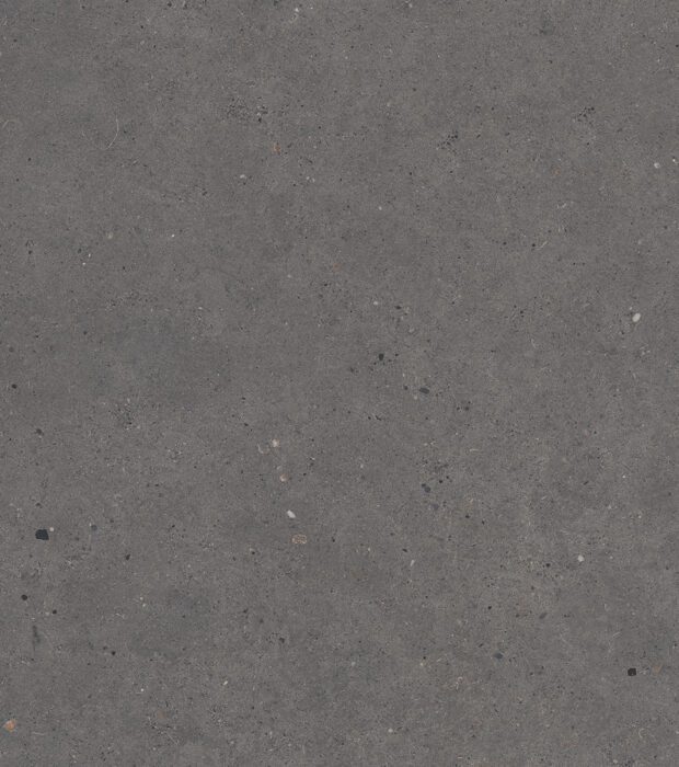 Silver Grain Dark - Beton Look Fliser