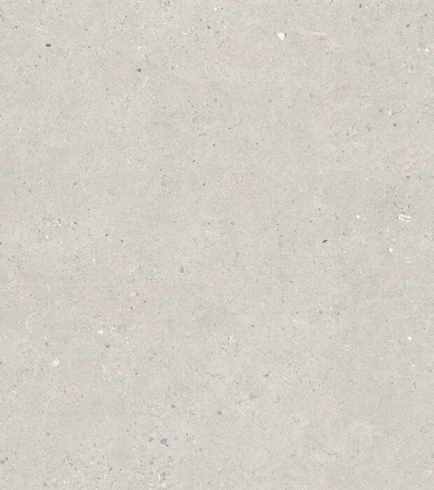 Silver Grain Grey - Beton Look Fliser