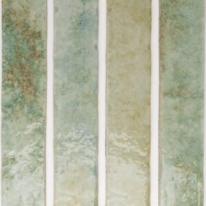 Potters Agave 5x25 Blank