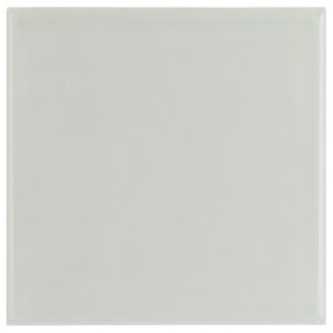 Evolution Mint 15x15 Blank