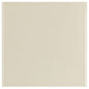 Evolution Greige 15x15 Blank