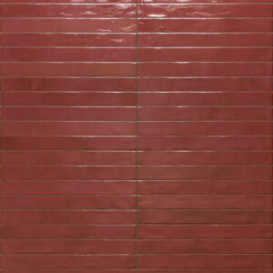 Colors Red 4,8x45 Blank